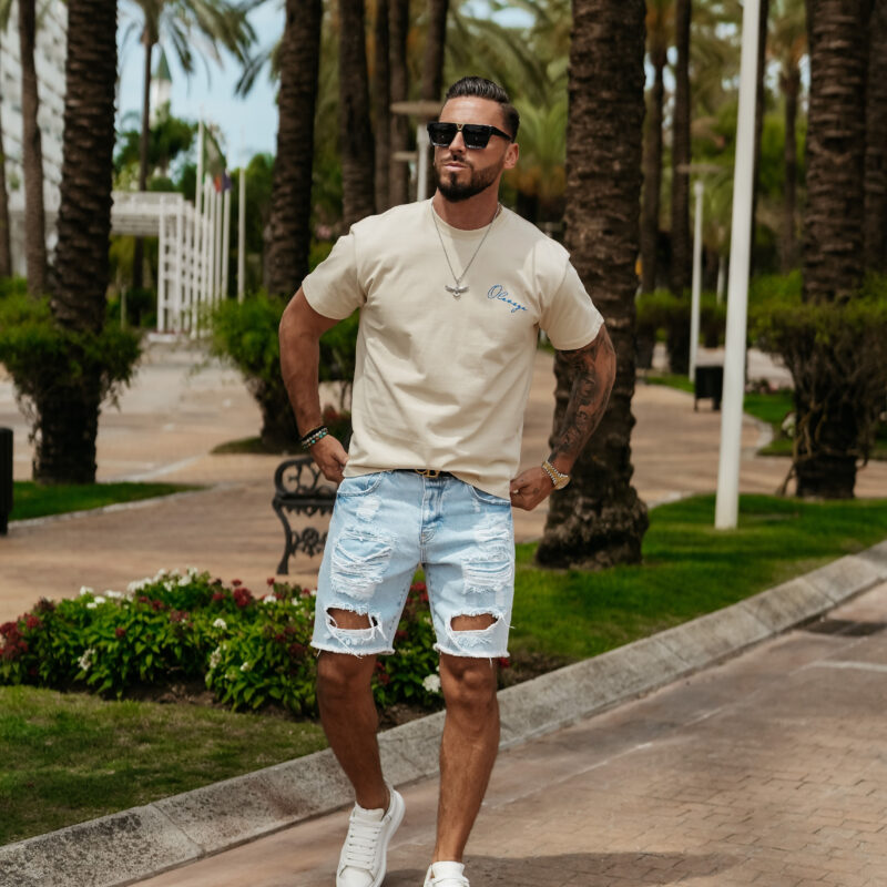 t-shirt BLUE HARMONY 826 T-shirt męski BLUE HARMONY 2025 Beżowy