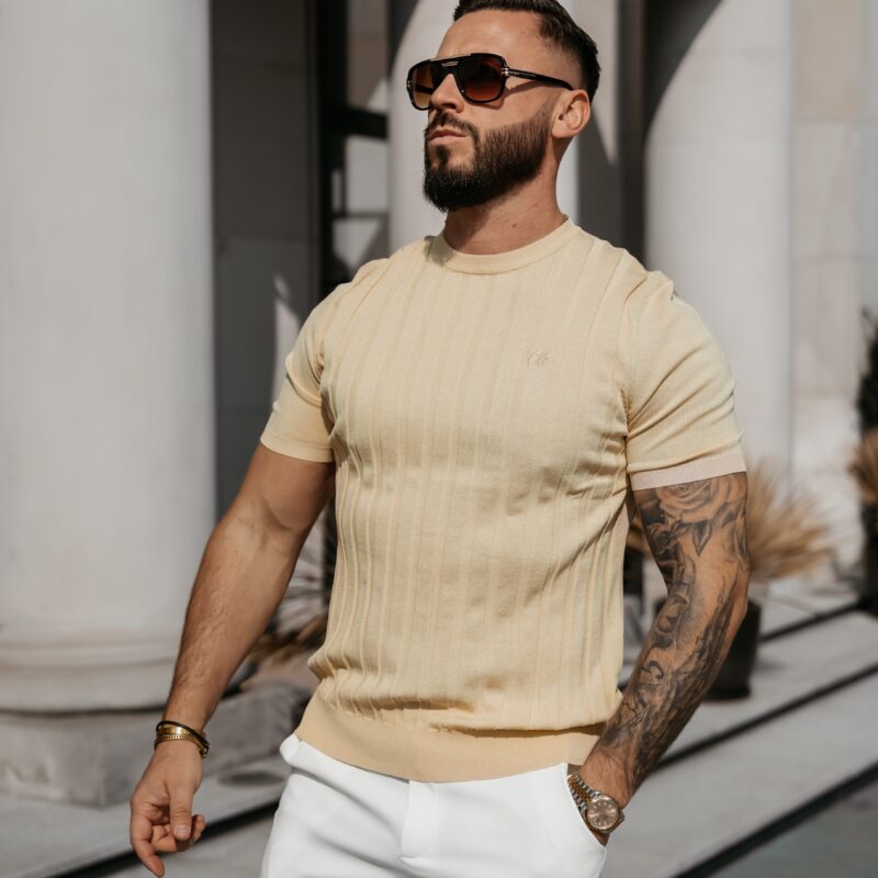 T-shirt męski XAE 2026 Beżowy