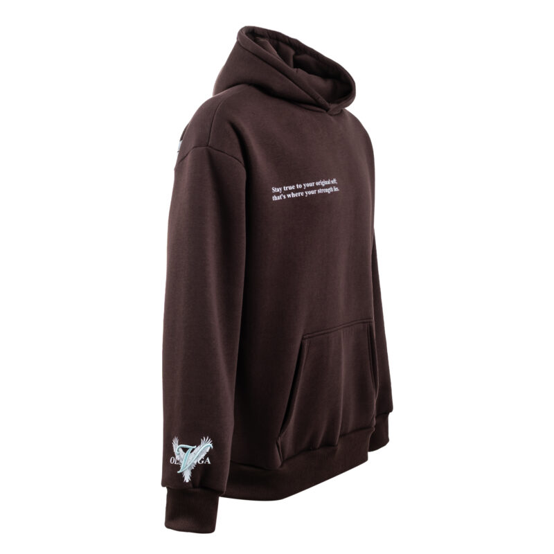 EAGLE brown (2) Bluza męska EAGLE 2026 Brązowa